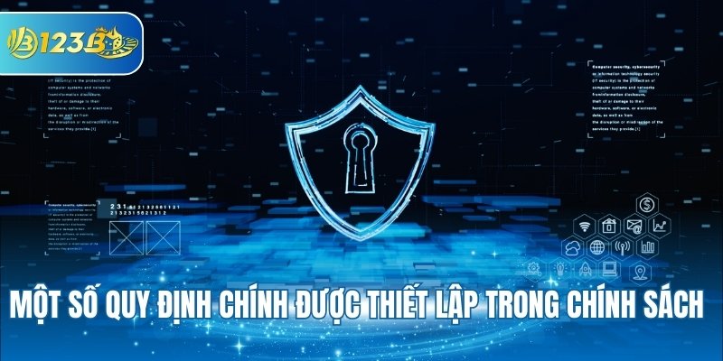 Một số quy định chính được thiết lập trong chính sách